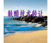 產品庫技術轉讓 優勢、要點與實施策略